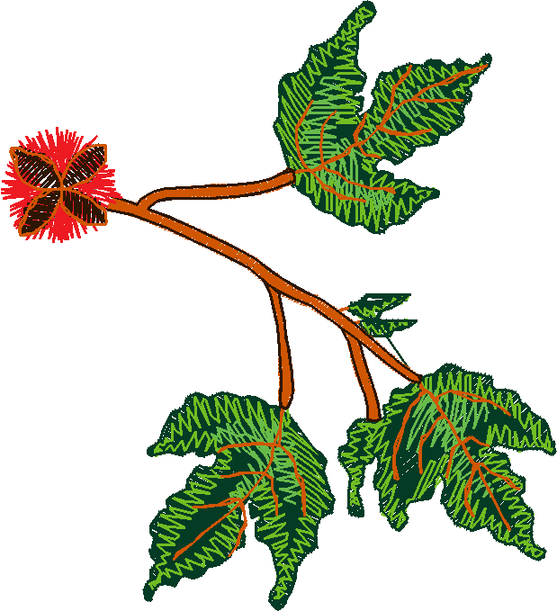 Floral 17  (17)