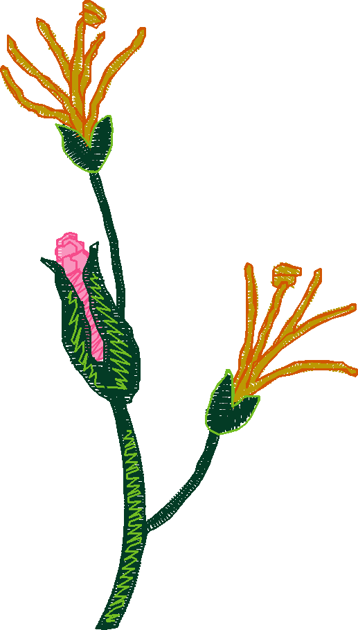 Floral 17  (19)