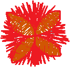 Floral 17  (3)