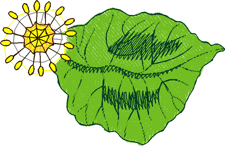 Floral 17  (7)
