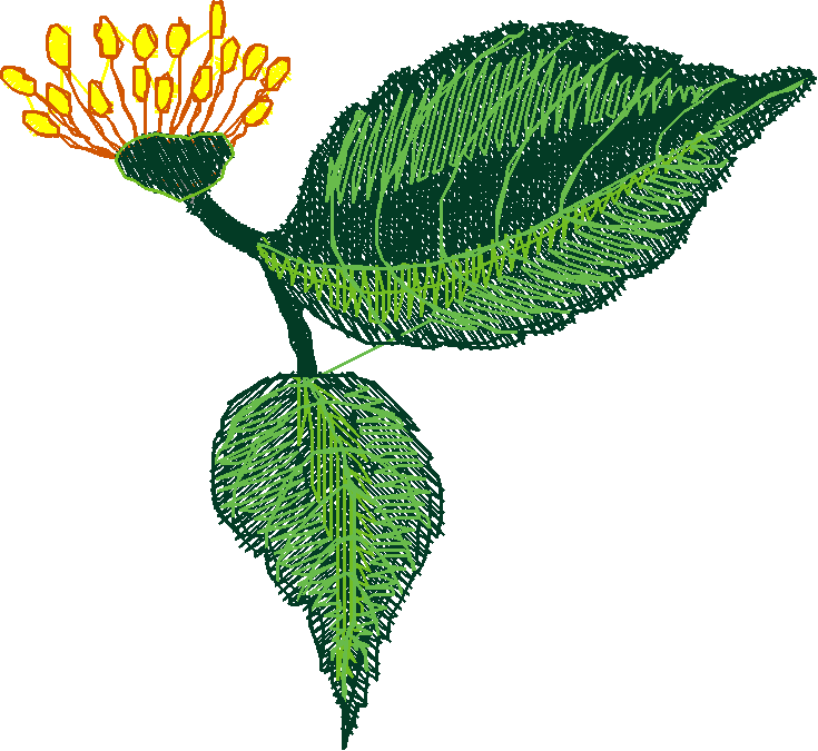 Floral 17  (9)