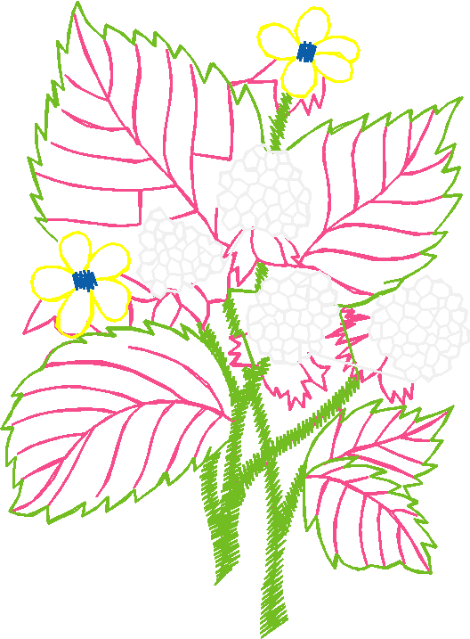 Floral 177 (100)