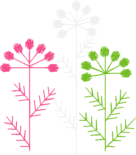 Floral 178 (4)