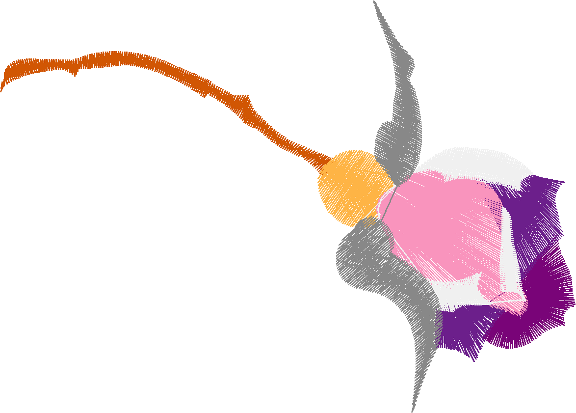 Floral 178 (80)