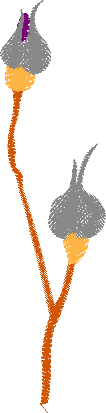 Floral 178 (82)