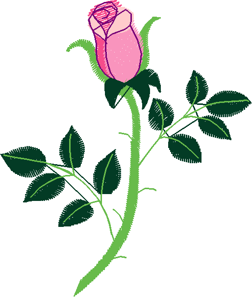Floral 178 (86)