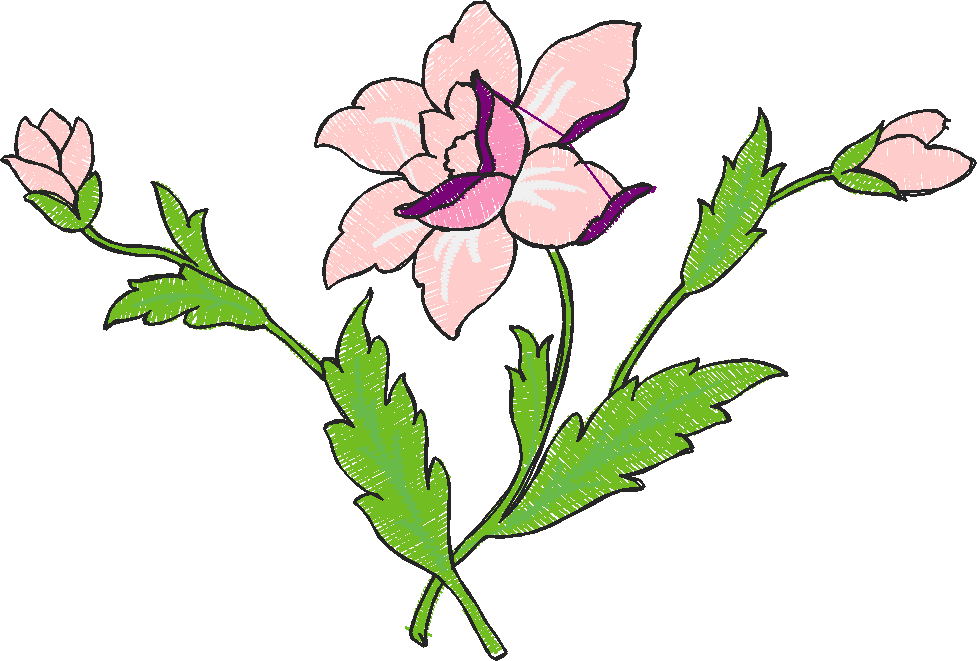 Floral 179 (81)