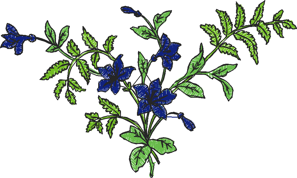 Floral 179 (85)