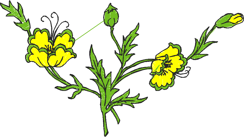 Floral 179 (87)