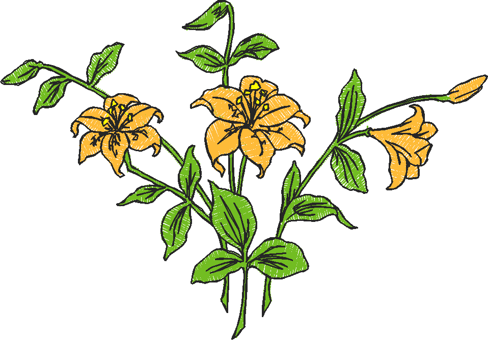 Floral 179 (88)