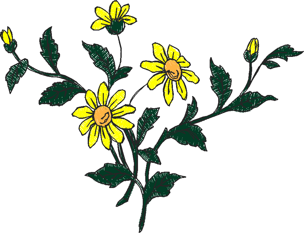 Floral 179 (90)