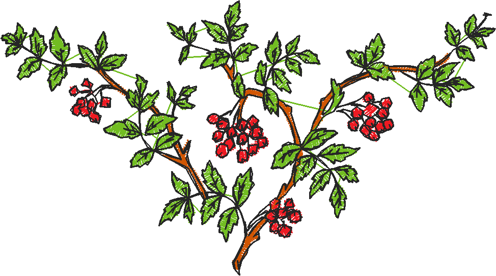 Floral 179 (94)