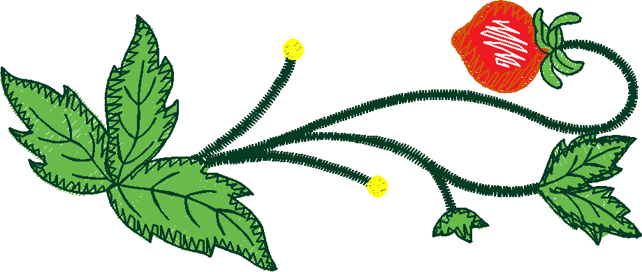 Floral 18  (13)