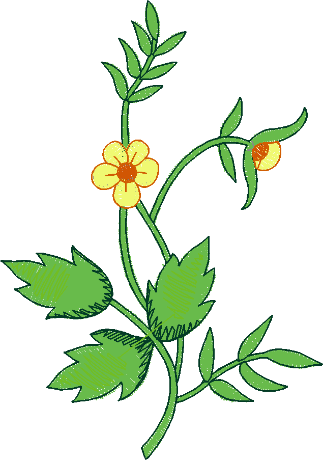 Floral 18  (14)