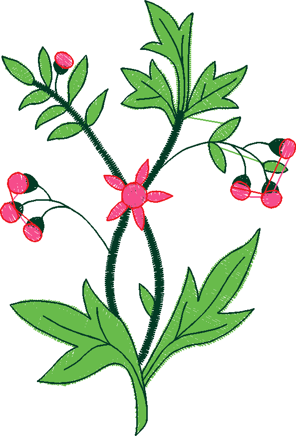 Floral 18  (16)
