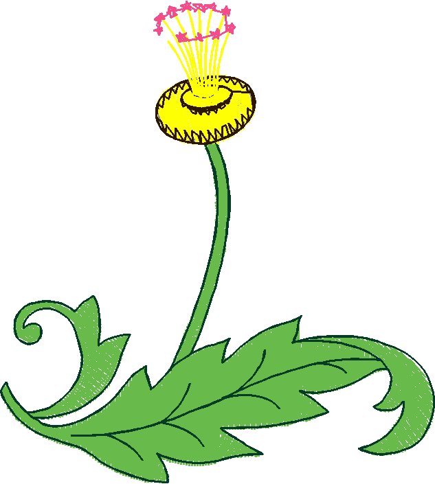 Floral 18  (20)