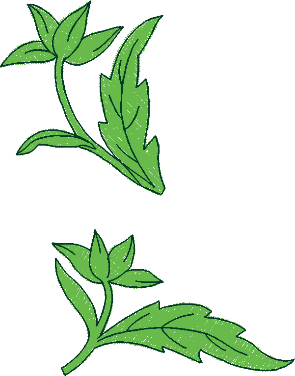 Floral 18  (9)
