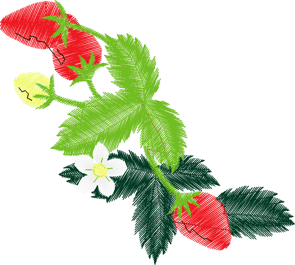 Floral 180 (21)