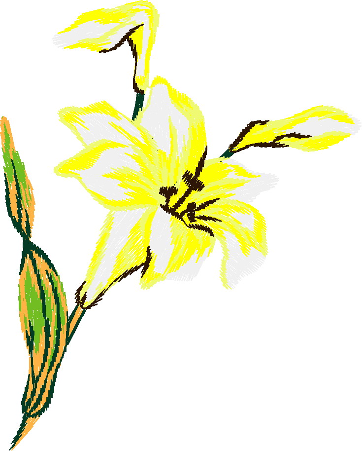 Floral 180 (30)