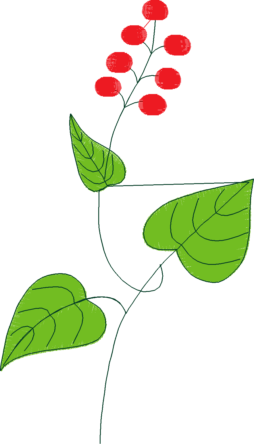 Floral 181 (6)