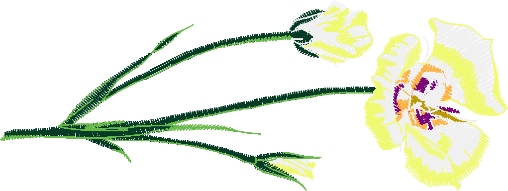 Floral 181 (73)