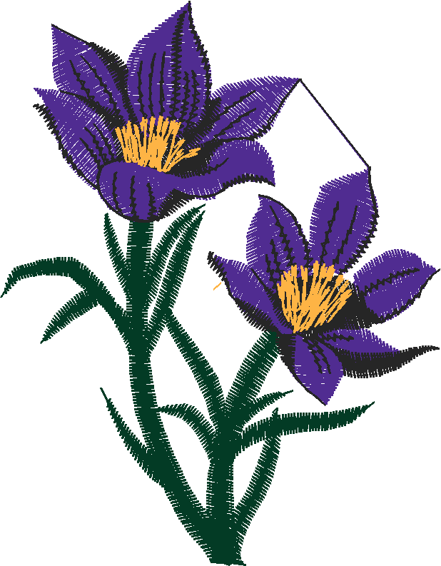 Floral 182 (92)