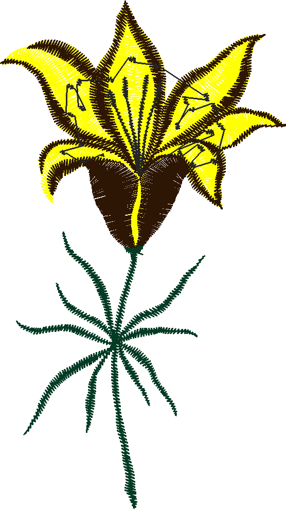 Floral 182 (93)