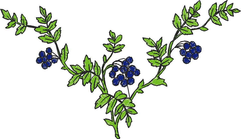 Floral 183 (5)
