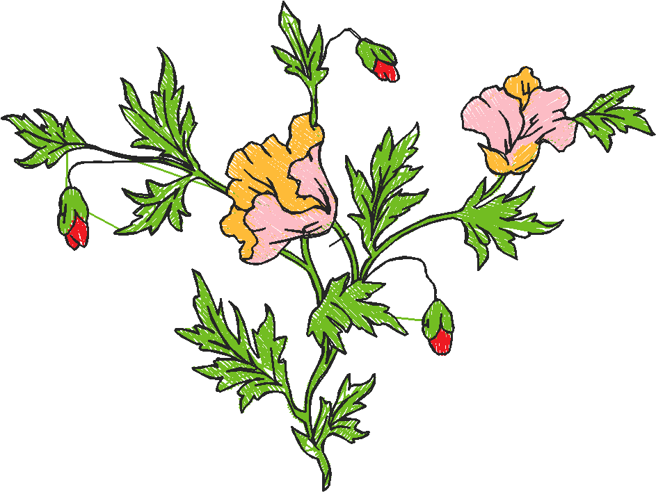 Floral 183 (6)