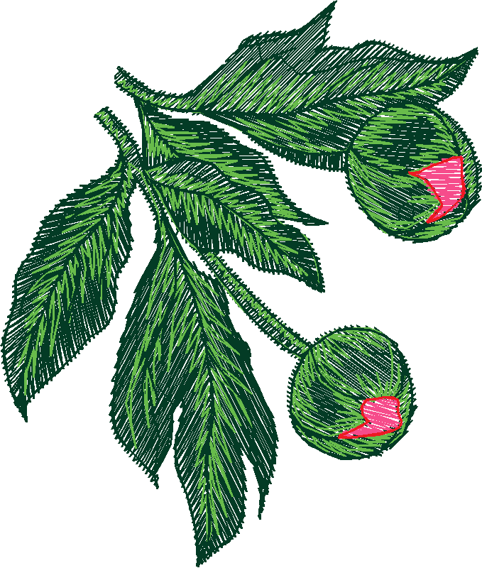 Floral 183 (61)