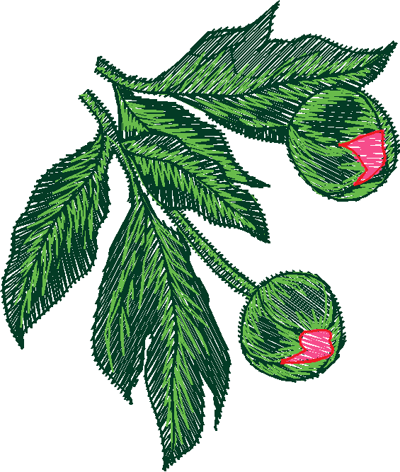 Floral 183 (62)