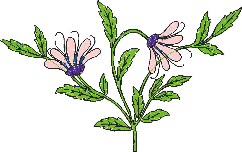 Floral 183 (7)