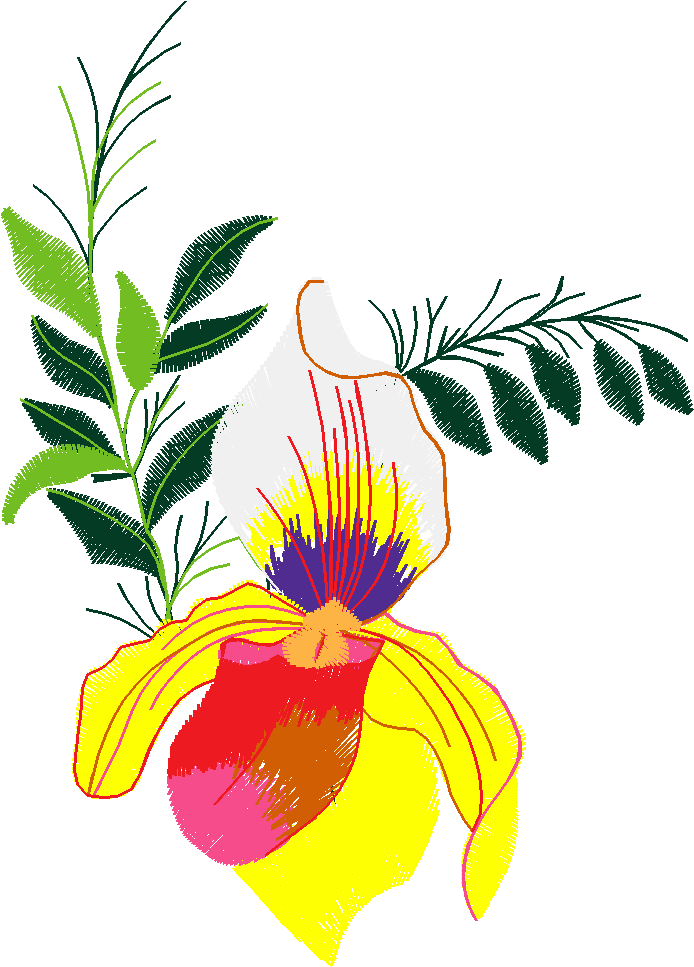 Floral 183 (71)