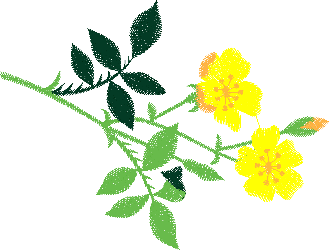 Floral 183 (75)