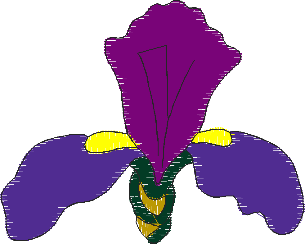 Floral 183 (93)
