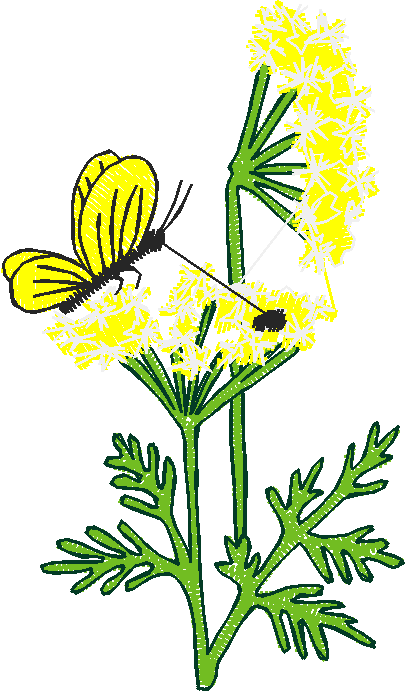 Floral 184 (16)