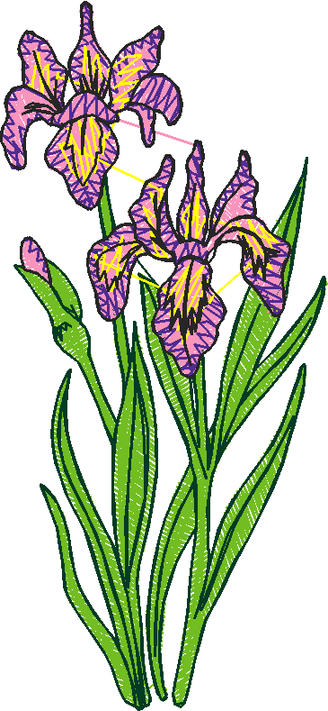 Floral 184 (18)