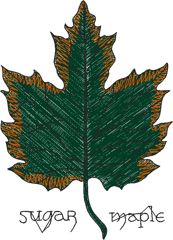 Floral 184 (22)