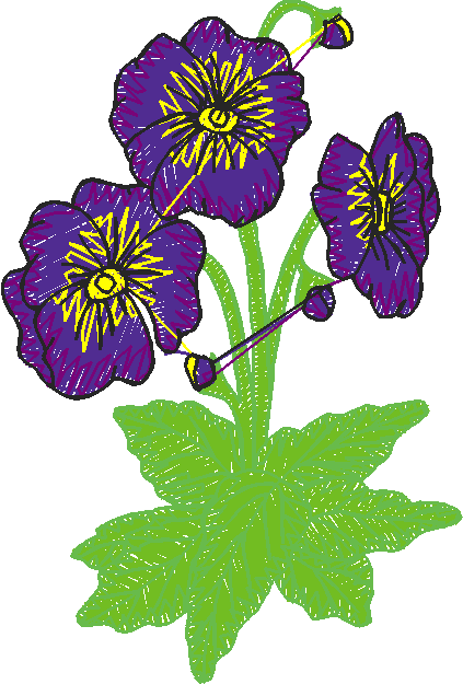 Floral 184 (25)