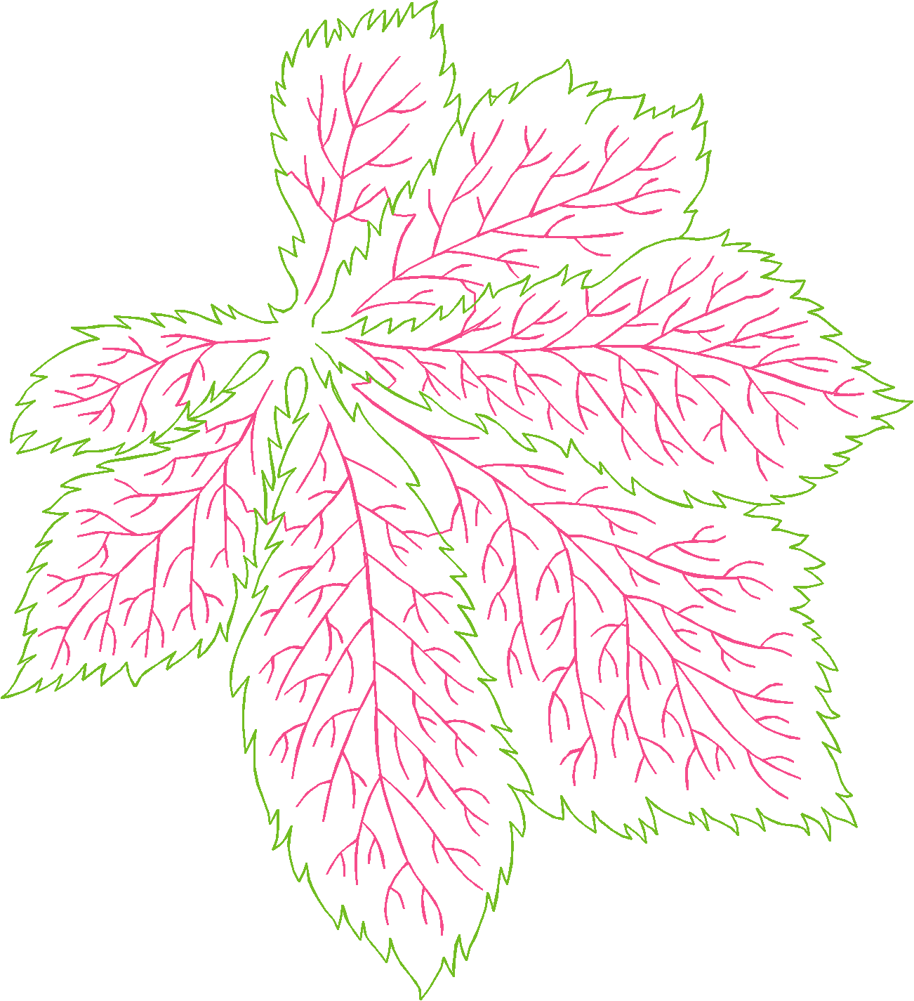 Floral 188 (63)