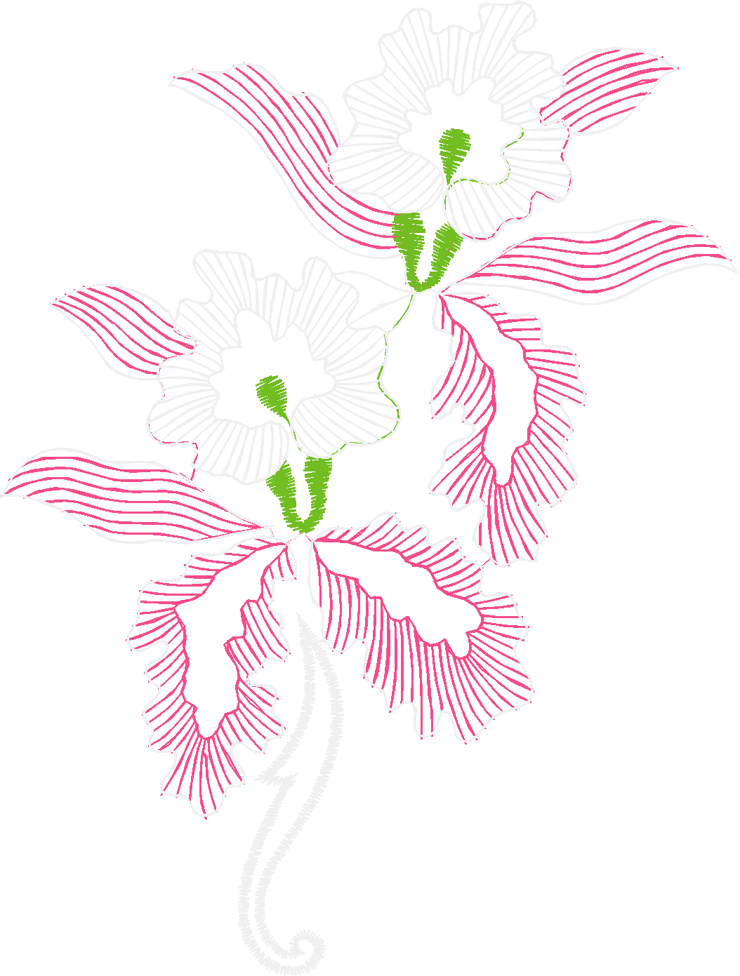 Floral 190 (31)