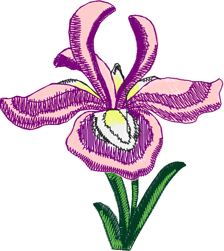 Floral 191 (20)