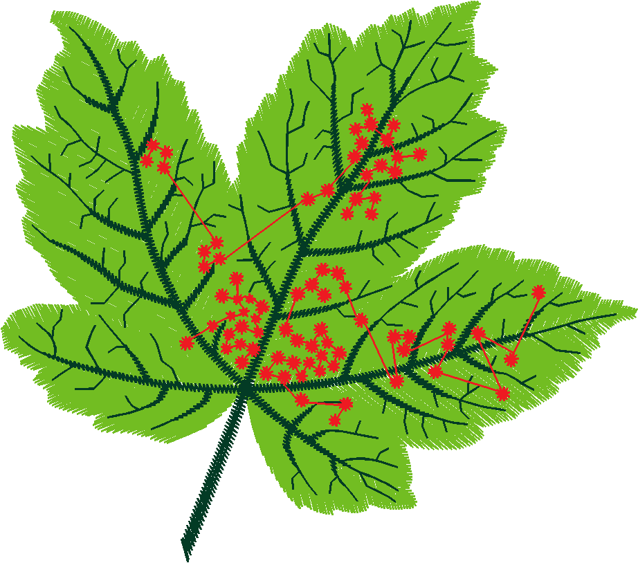 Floral 195  (7)