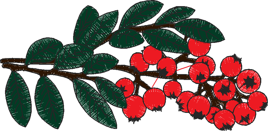 Floral 196 (57)