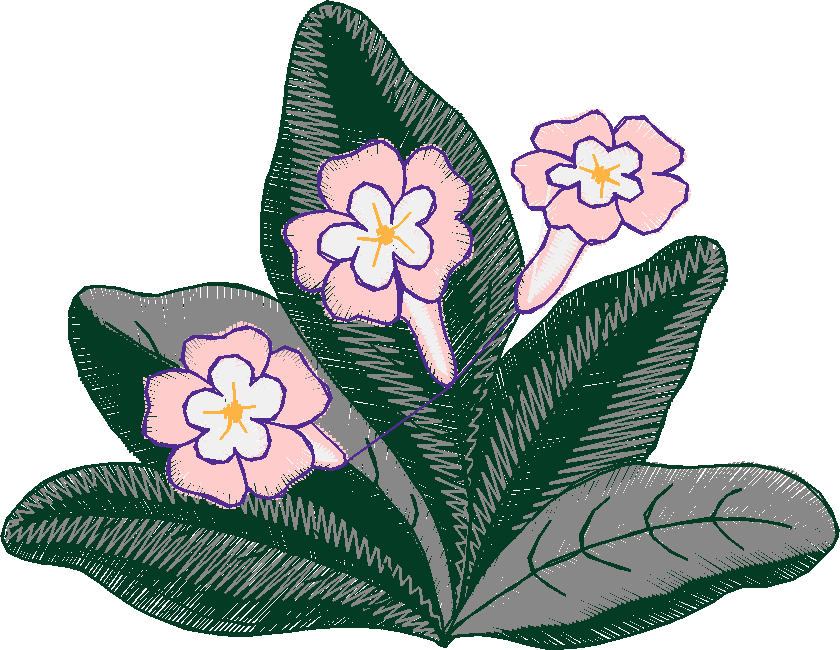 Floral 196 (59)