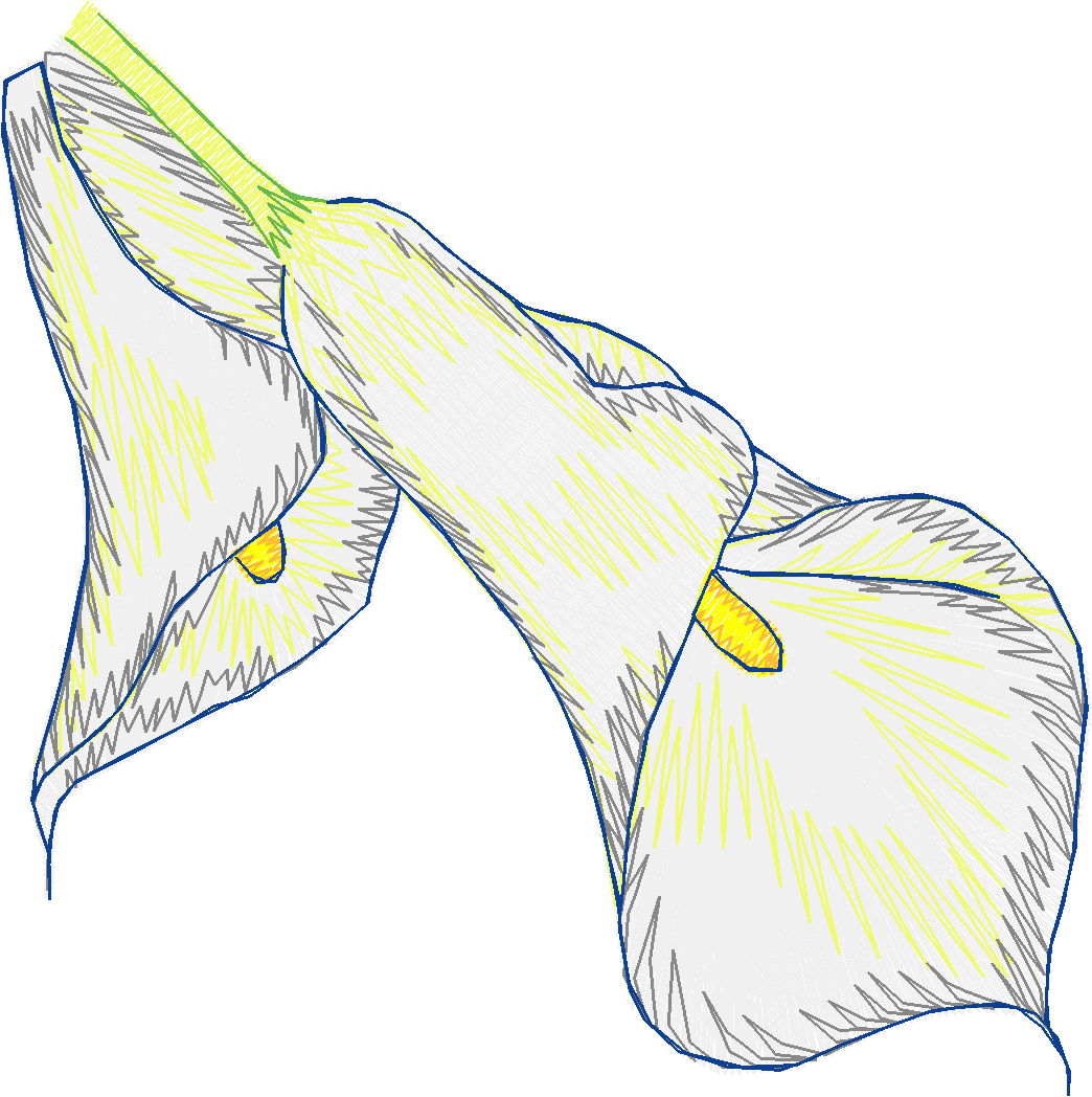 Floral 197  (31)