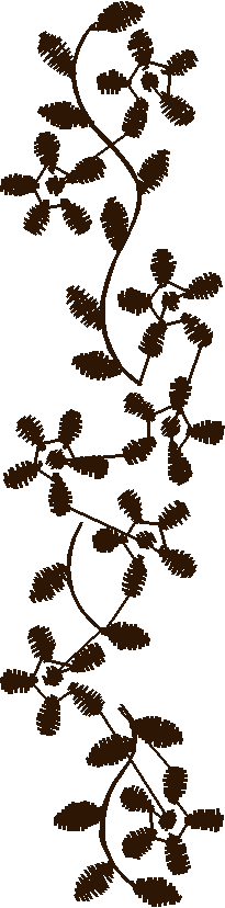 Floral 2  (13)