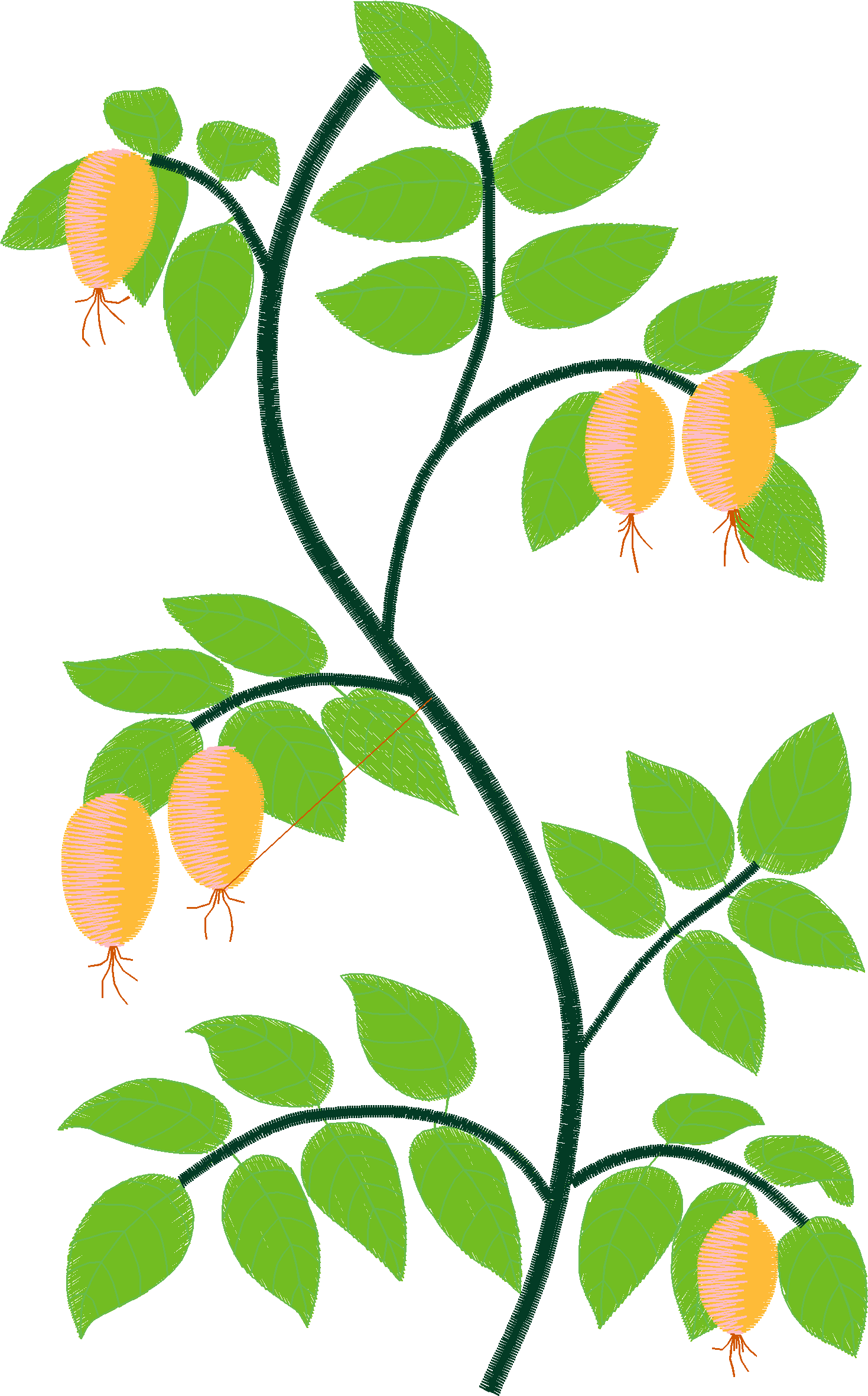 Floral 20  (2)