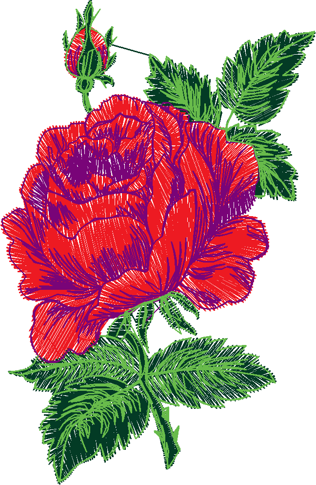 Floral 205  (58)