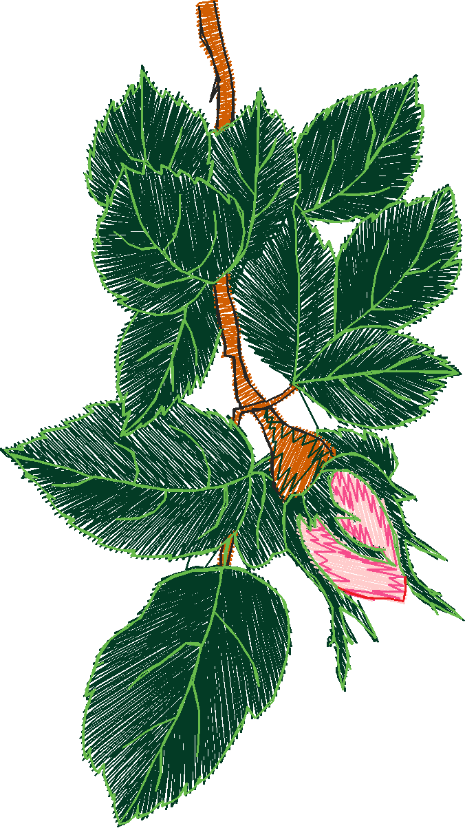 Floral 205  (64)